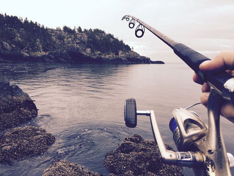 More about Fishing