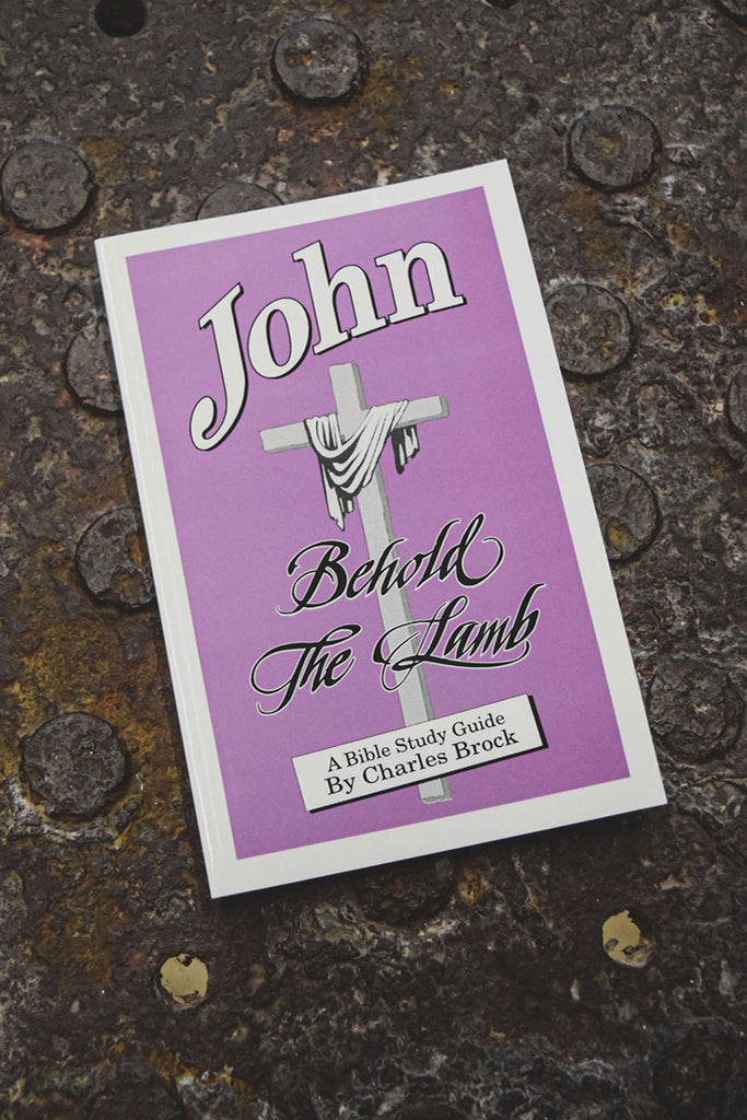 John - Behold the Lamb